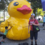 El Grandisimo  Pato Inflable  en la Ciudad